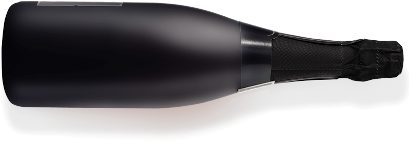 Freixenet Ash Tree Estate 2013 白ワイン Freixenet Ash Tree Estate Merlot Tempranillo(フレシネ