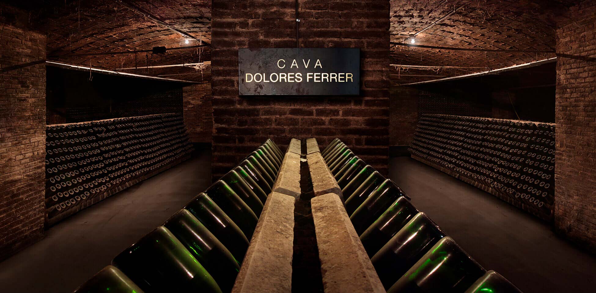 Well-illuminated cellar entry with sign that reads Cava Dolores Ferrer, with brick construction and racks of inverted and shelved wine. ç