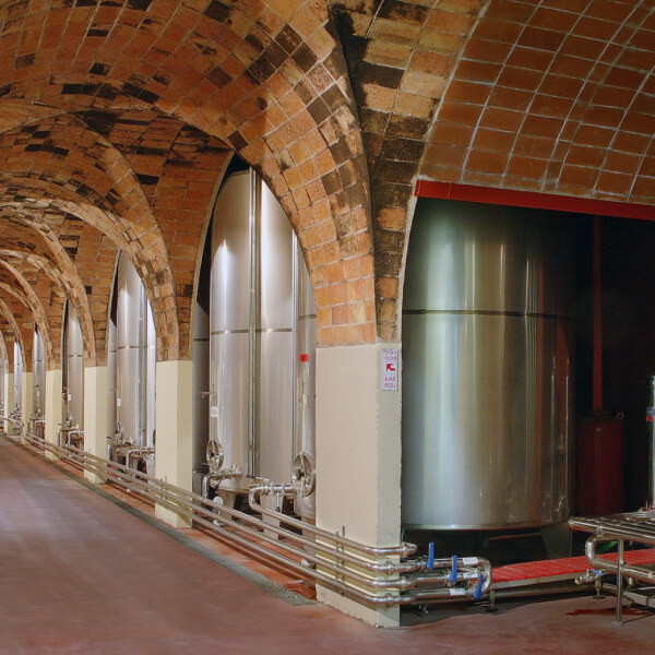 Cellar with fermentation tank