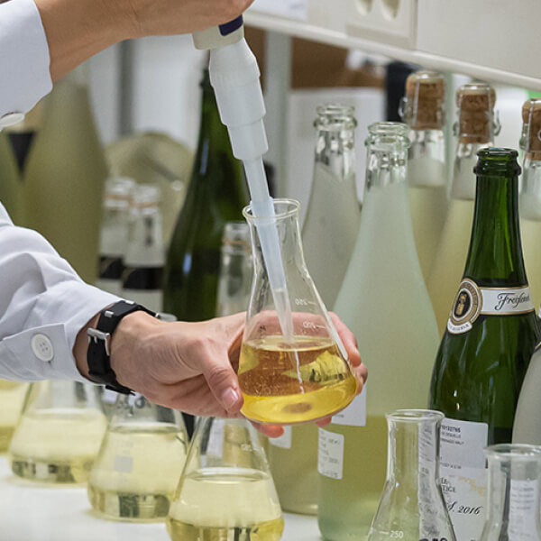 Winemaker holds a conical flask of wine with a pipette in it against a backdrop of other flasks and wine bottles.