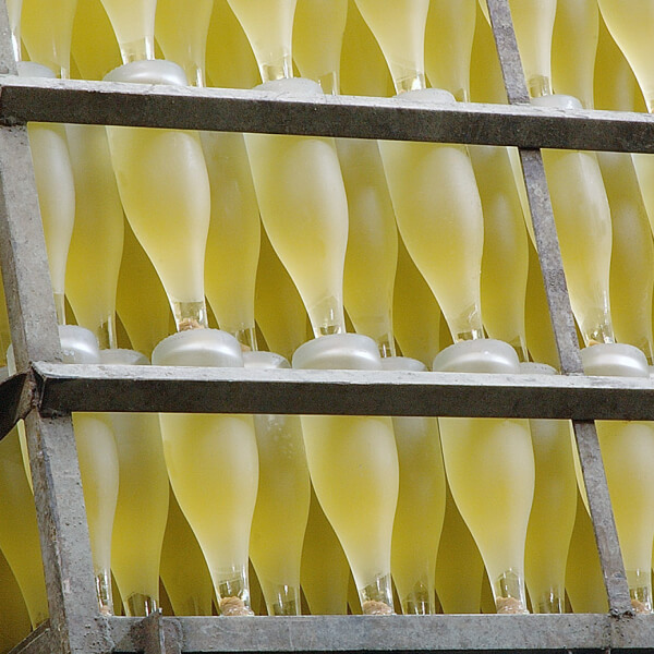 Rows of inverted wine bottles on a rack.